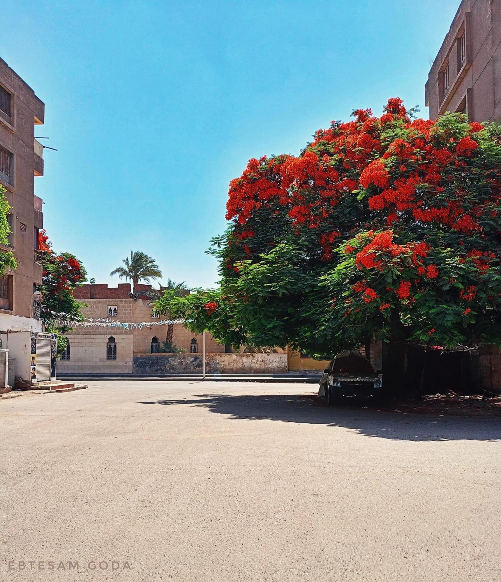 Gflat Apartment